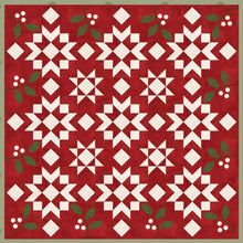 Load image into Gallery viewer, Winterberries Flannel Quilt Kit
