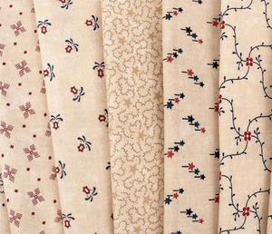 Freedom Road Jelly RollBundle<BR>Kansas Troubles Quilters