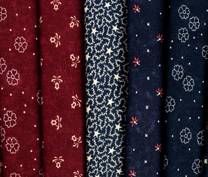 Freedom Road Jelly RollBundle<BR>Kansas Troubles Quilters